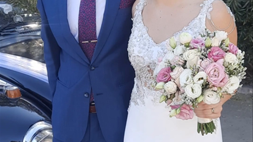 Escarabajos para Matrimonio