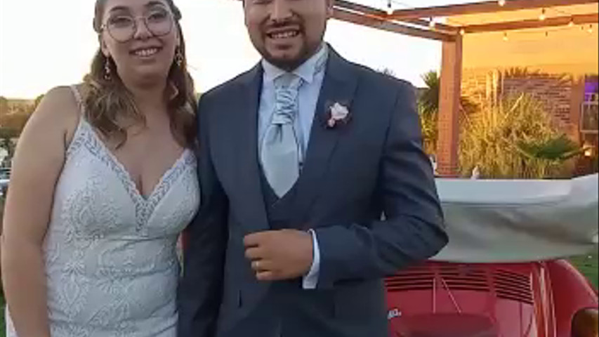 Escarabajos para Matrimonio