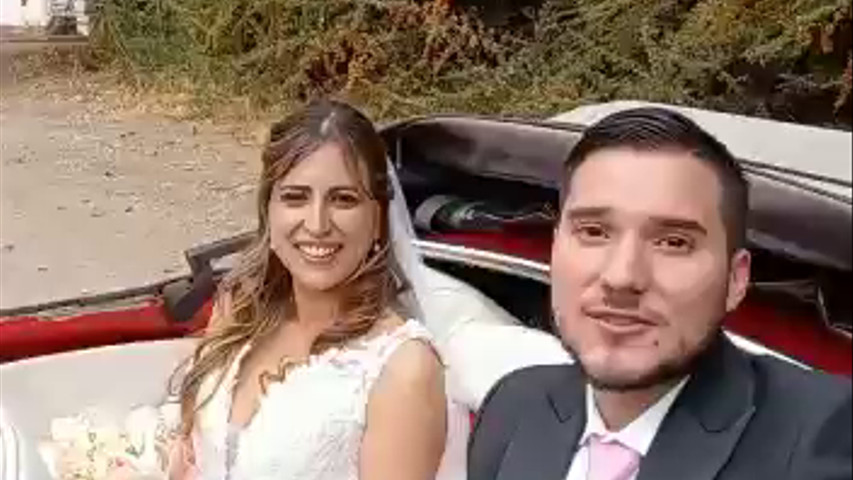 Escarabajos para Matrimonio