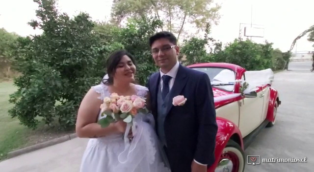 Escarabajos para Matrimonio