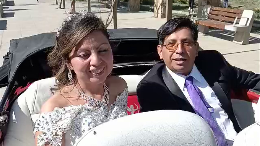 Escarabajos para Matrimonio