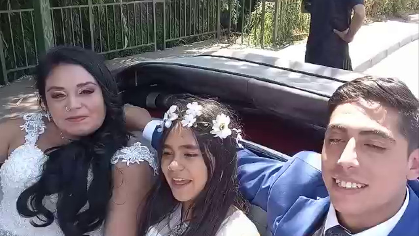 Escarabajos para Matrimonio
