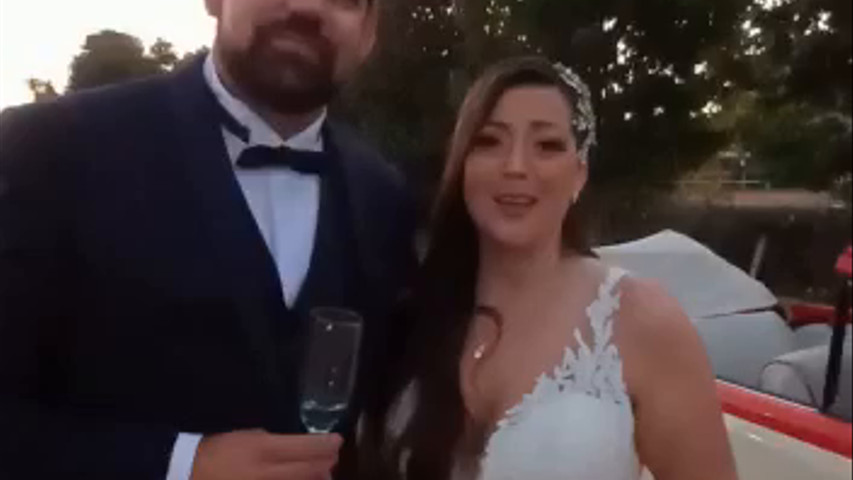 Escarabajos para Matrimonio
