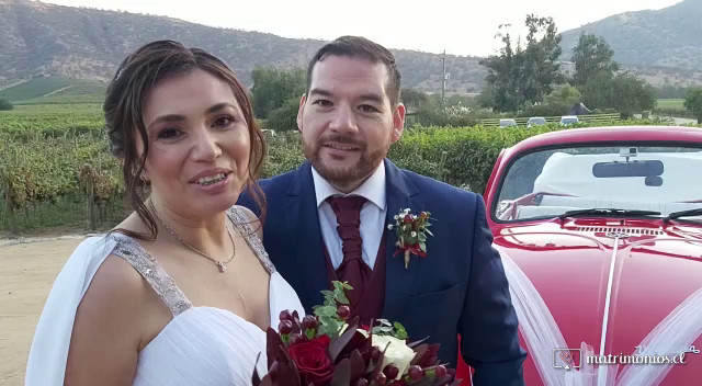 Escarabajos para Matrimonio