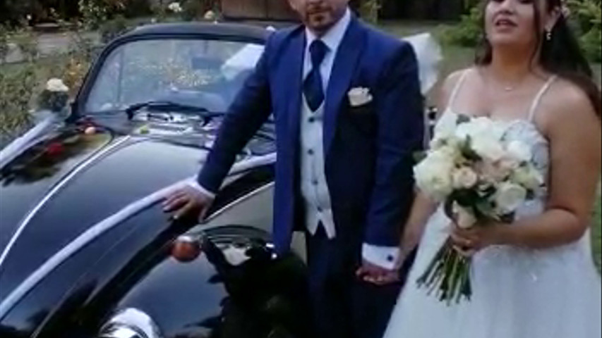Escarabajos para Matrimonio
