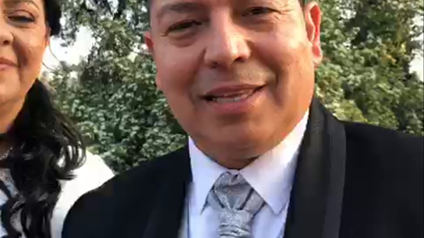Escarabajos para Matrimonio