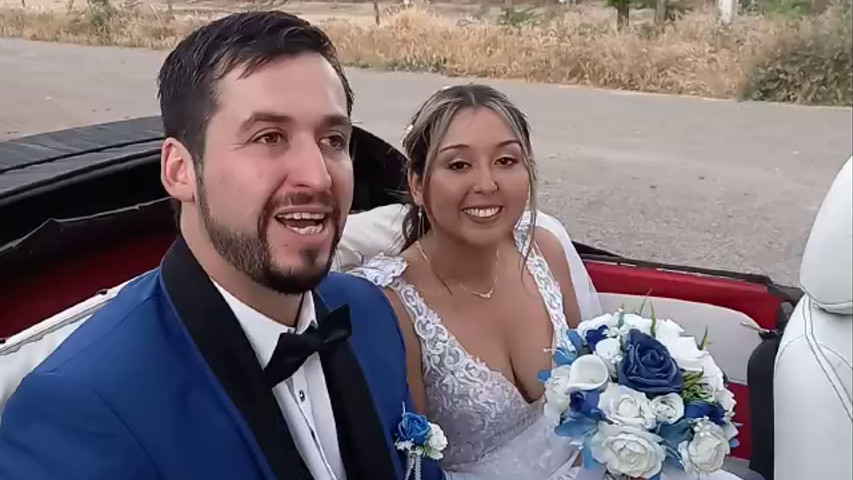 Escarabajos para Matrimonio