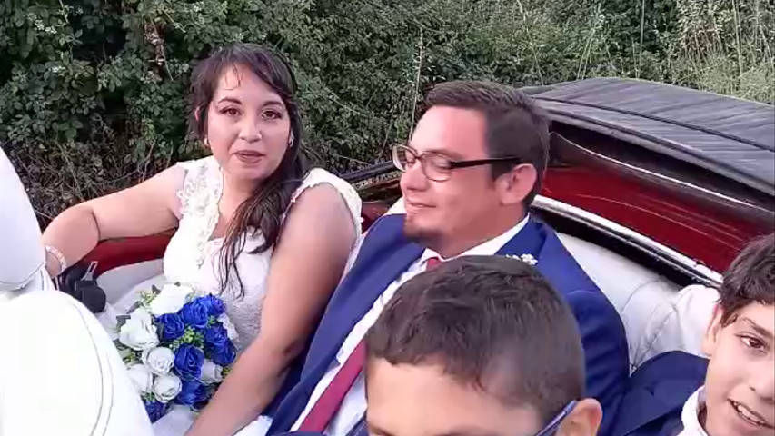 Escarabajos para Matrimonio