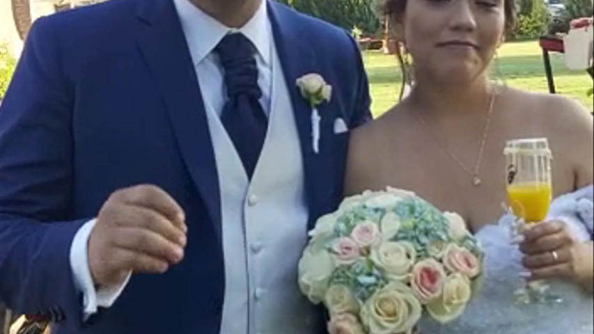 Escarabajos para Matrimonio
