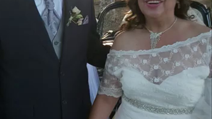 Escarabajos para Matrimonio