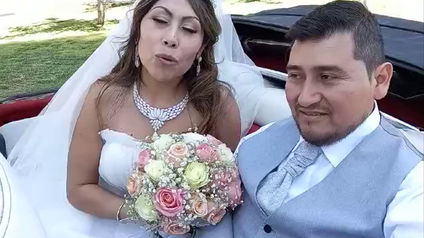 Escarabajos para Matrimonios