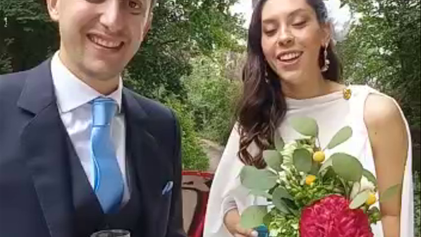 Escarabajos para Matrimonios