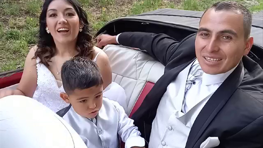 Escarabajos para Matrimonios