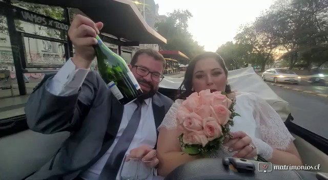 Escarabajos para Matrimonios