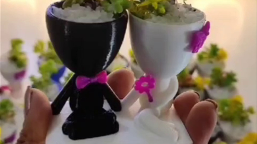 Modelo boda