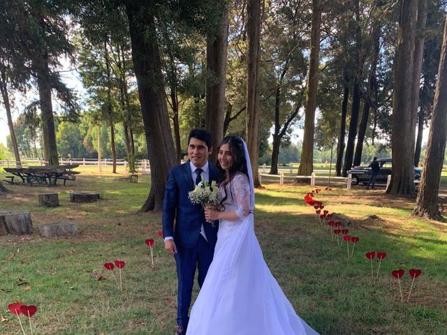 El matrimonio de Sebastián y Juanita en Osorno, Osorno 6