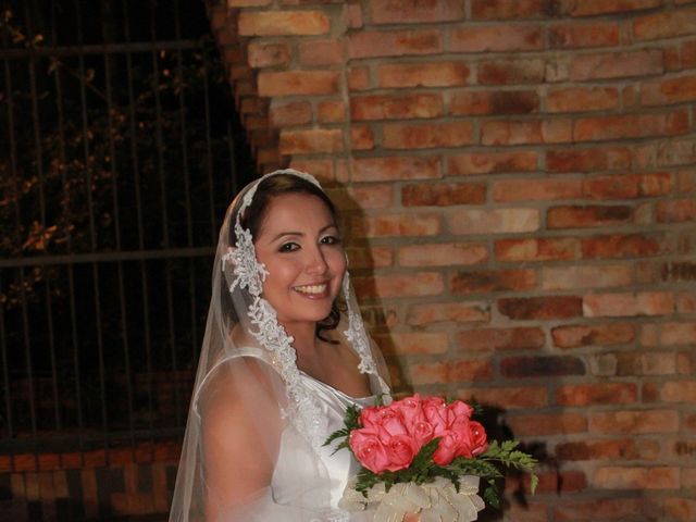 El matrimonio de Carlos y Lorena en Santiago, Santiago 53