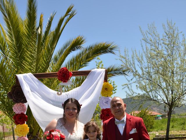 El matrimonio de Octavio y Javiera  en Santa Cruz, Colchagua 4