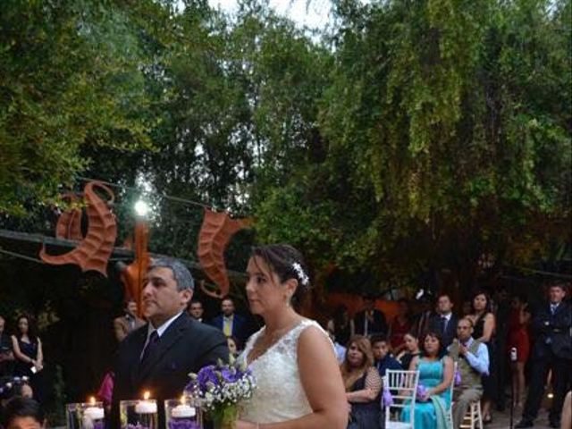 El matrimonio de Adolfo y Coté en San José de Maipo, Cordillera 11