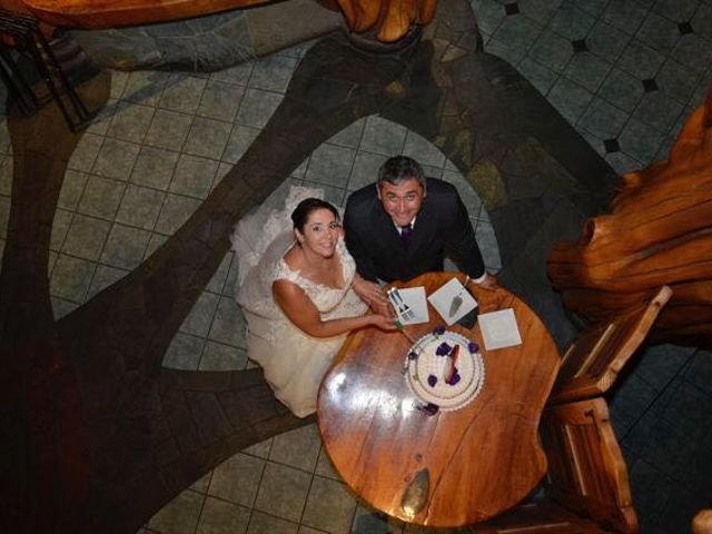 El matrimonio de Adolfo y Coté en San José de Maipo, Cordillera 29