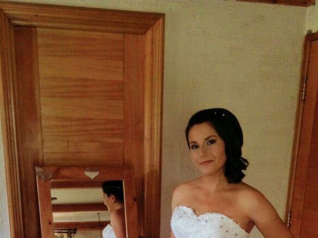 El matrimonio de Marco y Valentina en Puente Alto, Cordillera 1