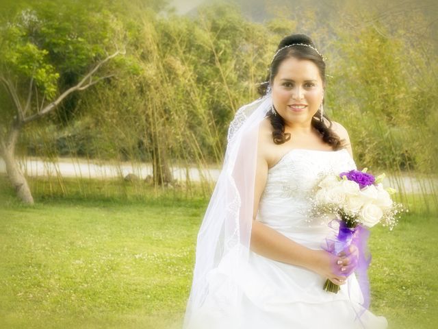 El matrimonio de Alfredo y Evelyn en San José de Maipo, Cordillera 5