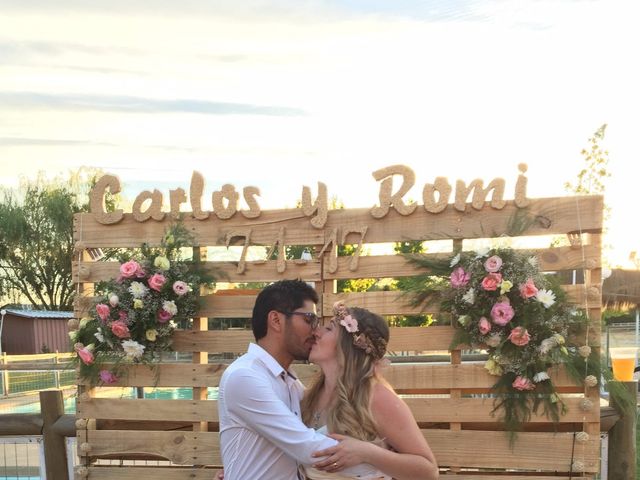 El matrimonio de Carlos y Romina en Maule, Talca 13