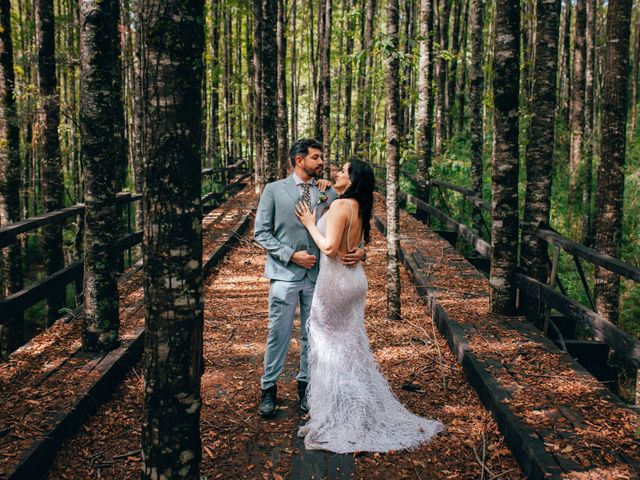 El matrimonio de Carlos y Camila en Panguipulli, Valdivia 38