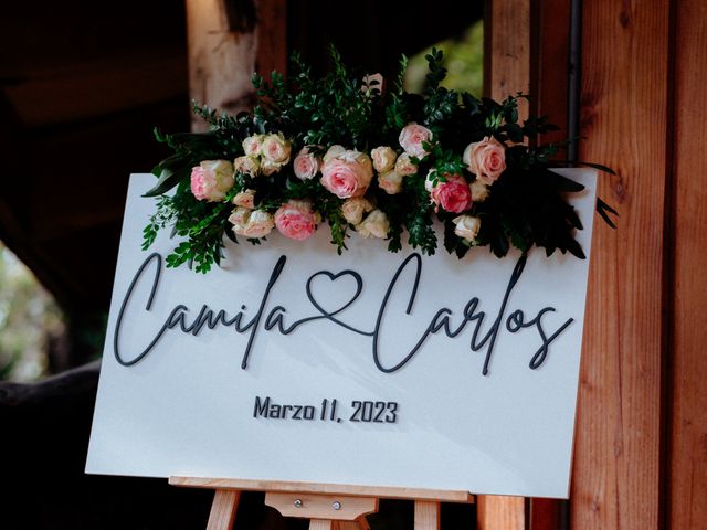 El matrimonio de Carlos y Camila en Panguipulli, Valdivia 48