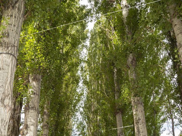 El matrimonio de Óscar y Carolina en Paine, Maipo 9