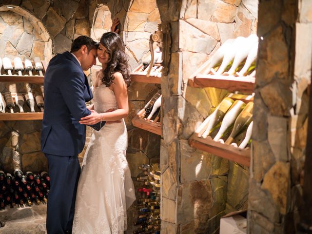 El matrimonio de Cristian y Lissette en San José de Maipo, Cordillera 64