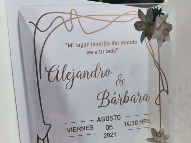 El matrimonio de Alejandro  y Bárbara  en Olmué, Quillota 19