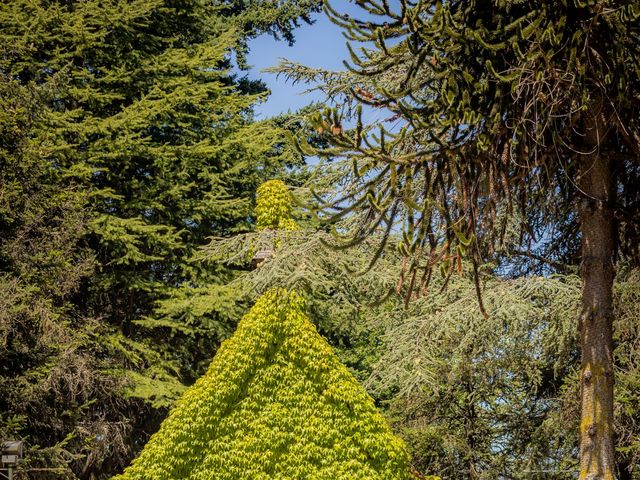 El matrimonio de Angelo y Nicole en Temuco, Cautín 29