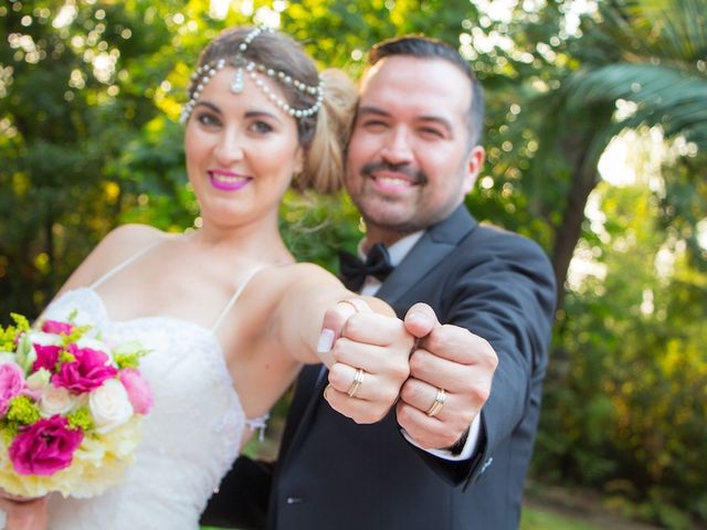 El matrimonio de Sergio y Catalina en Pirque, Cordillera 2