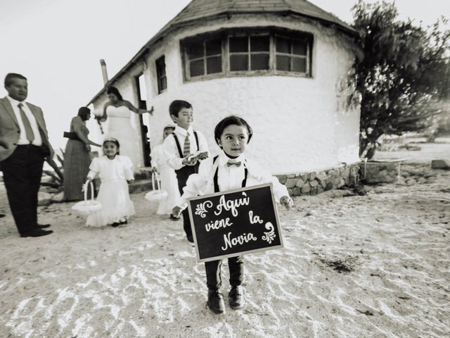 El matrimonio de Martin y Anita en Coquimbo, Elqui 5