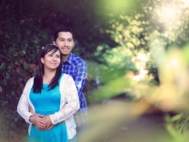 El matrimonio de jeannette y Alejandro en Buin, Maipo 7