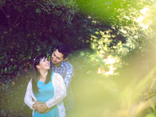 El matrimonio de jeannette y Alejandro en Buin, Maipo 8