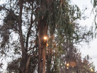 El matrimonio de Ximena y Alfredo 3