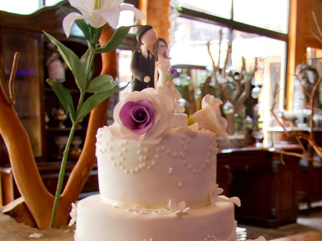 El matrimonio de Jovany y Carola en San José de Maipo, Cordillera 16