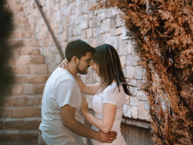 El matrimonio de Carlos y Nicoll en La Serena, Elqui 78