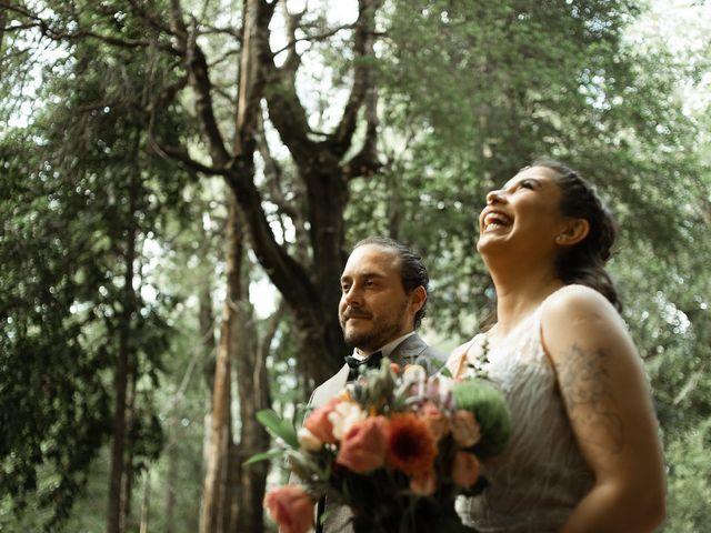 El matrimonio de Felipe y Camila en Panguipulli, Valdivia 8