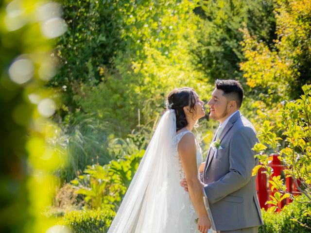 El matrimonio de Ismael y Angélica en Villarrica, Cautín 91