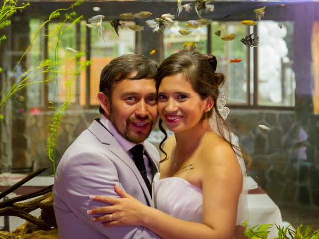 El matrimonio de Sergio y Barbara en Osorno, Osorno 18