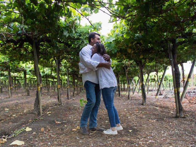 El matrimonio de Carlos y Carolina en San Vicente, Cachapoal 2