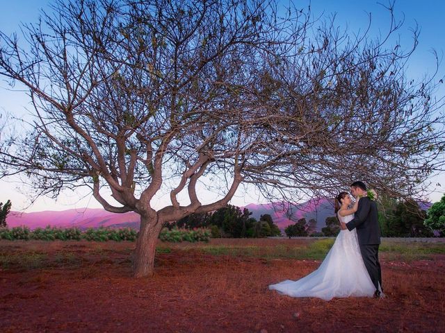 El matrimonio de Carlitos y Monse en La Serena, Elqui 12