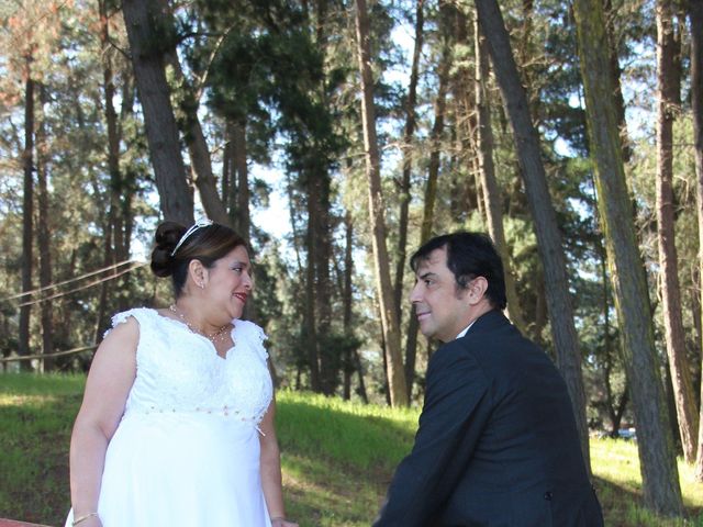 El matrimonio de Adolfo y Gina en San Fernando, Colchagua 63