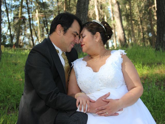 El matrimonio de Adolfo y Gina en San Fernando, Colchagua 70