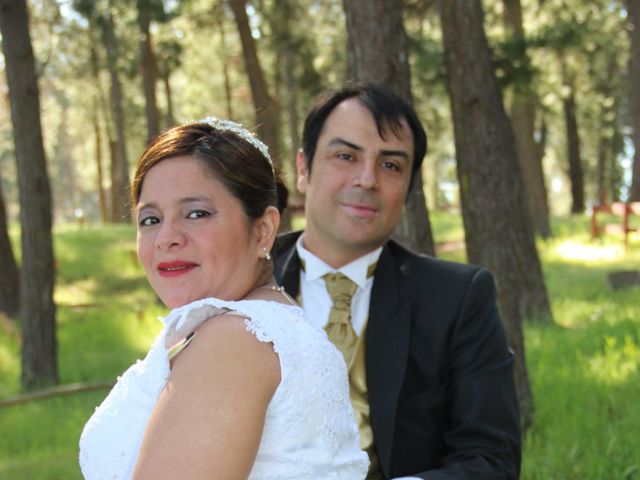 El matrimonio de Adolfo y Gina en San Fernando, Colchagua 72