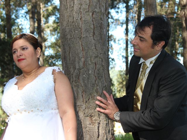 El matrimonio de Adolfo y Gina en San Fernando, Colchagua 2