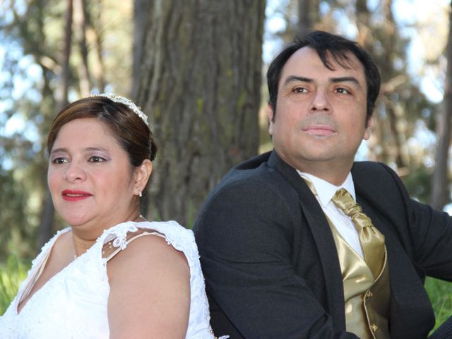 El matrimonio de Adolfo y Gina en San Fernando, Colchagua 80